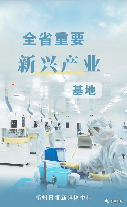 擘畫(huà)新藍(lán)圖，奮進(jìn)新征程——十四五時(shí)期忻州經(jīng)濟(jì)社會(huì)發(fā)展的戰(zhàn)略定位解析